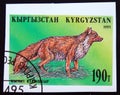 Imperforated postage stamp Kyrgyzstan 1995, Red Fox, Vulpes vulpes