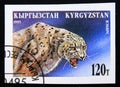 Imperforated postage stamp Kyrgyzstan 1995, Snow leopard, panthera uncia