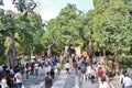 Imperial Garden - The Forbidden City