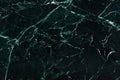 Imperial Green - polished dark marble stone slab, texture for perfect interior, background or other design project.