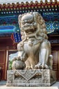 Imperial guardian lion Royalty Free Stock Photo