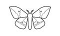 Imperial Moth, Eacles imperialis vector illustration on white