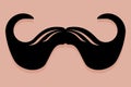 Imperial Moustache Icon Vector Royalty Free Stock Photo
