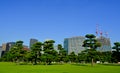 Imperial Palace East Garden of Tokyo, Japan Royalty Free Stock Photo