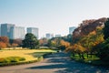 Imperial Palace East Gardens and modern buildings at autumn in Tokyo, Japan Royalty Free Stock Photo