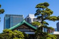 Imperial Palace East Gardens in Tokyo, Japan Royalty Free Stock Photo