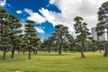 Imperial Palace East Gardens in Tokyo Royalty Free Stock Photo