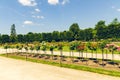 Imperial roses gardens of schonbrunn palace in Vienna