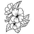 imple primula drawing, bellflower stock outline drawing, primrose flower line art coloring page for kids