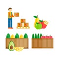 Import export fruits vector illustration.