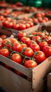 Import tomatoes, red harvest, packed in a carefully curated box Royalty Free Stock Photo