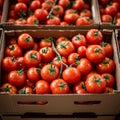 Import tomatoes, red harvest, packed in a carefully curated box Royalty Free Stock Photo