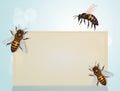 The importance of bees for the planet