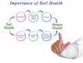 Importance of Soil Health