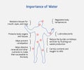 Importance of Water - Our body, Water, Positive effects, Vector EPS 10