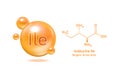 Important amino acid Isoleucine Ile and structural chemical formula and line model of molecule.