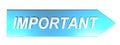 IMPORTANT on blue arrow - 3D rendering Royalty Free Stock Photo