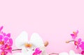 Important day greeting card banner with colorful orchids Royalty Free Stock Photo