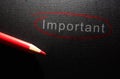 Important text circled in red pencil on black textured paper background Royalty Free Stock Photo