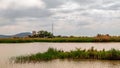 Important wetland National Park Delta Evros in Thrace Greece near to Feres and Alexandroupolis Royalty Free Stock Photo