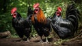 Imposing black roosters in the grass. AI generated Royalty Free Stock Photo