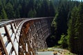 Kinsol Trestle from Northern End, Koksilah River Provincial Park, Vancouver Island, British Columbia, Canada