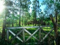 Old entrance to an abandoned field Royalty Free Stock Photo