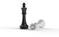 Two chess kings Royalty Free Stock Photo