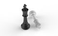 Two chess kings Royalty Free Stock Photo