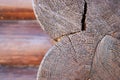 Impregnated vintage wood log stump cut. Selective focus impregnated resinous wood brown texture of rough cracked surface