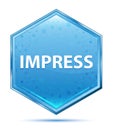 Impress crystal blue hexagon button