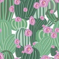 Cactus Flower Vector Pattern Seamless Royalty Free Stock Photo