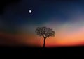 At dawn, the sun rises over a countryside landscape with a tree as any decor. Royalty Free Stock Photo