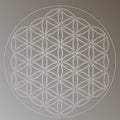 Flower of Life Symbol in Gray Silver Colors, Cosmic Universe Energy Wheel Royalty Free Stock Photo