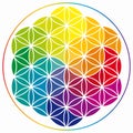 Flower of Life Symbol in Rainbow Colors, Cosmic Universe Energy Wheel Royalty Free Stock Photo