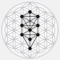 Flower of Life Symbol in Gray Colors, Cosmic Universe Energy Wheel, Tree of Sephiroth, Kabbalah Royalty Free Stock Photo