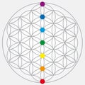 Flower of Life Symbol in Gray Colors, Cosmic Universe Energy Wheel with Chakra Colors Royalty Free Stock Photo