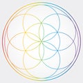 Seed of Life Illustration Rainbow Colors Sacred Geometry Symbol Vector Design Circle Spirituality Universe Mandala Star Royalty Free Stock Photo