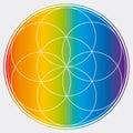 Seed of Life Illustration Rainbow Colors Sacred Geometry Symbol Vector Design Circle Spirituality Universe Mandala Star Royalty Free Stock Photo
