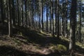Hiking GR5 through the Vosges Royalty Free Stock Photo