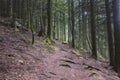 Hiking GR5 through the Vosges Royalty Free Stock Photo