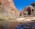 Impression from hiking trail to Pine Creek Canyon overlook in the Zion National park Royalty Free Stock Photo