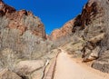 Impression from hiking trail to Pine Creek Canyon overlook in the Zion National park Royalty Free Stock Photo