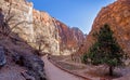Impression from hiking trail to Pine Creek Canyon overlook in the Zion National park Royalty Free Stock Photo