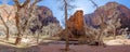 Impression from hiking trail to Pine Creek Canyon overlook in the Zion National park Royalty Free Stock Photo