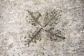 Impression of Leaves in concrete Royalty Free Stock Photo