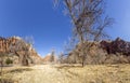 Impression from Virgin river walking path in the Zion National Park in winter Royalty Free Stock Photo