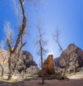 Impression from Virgin river walking path in the Zion National Park in winter Royalty Free Stock Photo