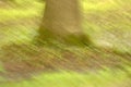 Impressionist Tree Trunk Royalty Free Stock Photo
