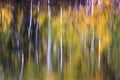 Impressionistic Aspen water reflections outside of Telluride Col